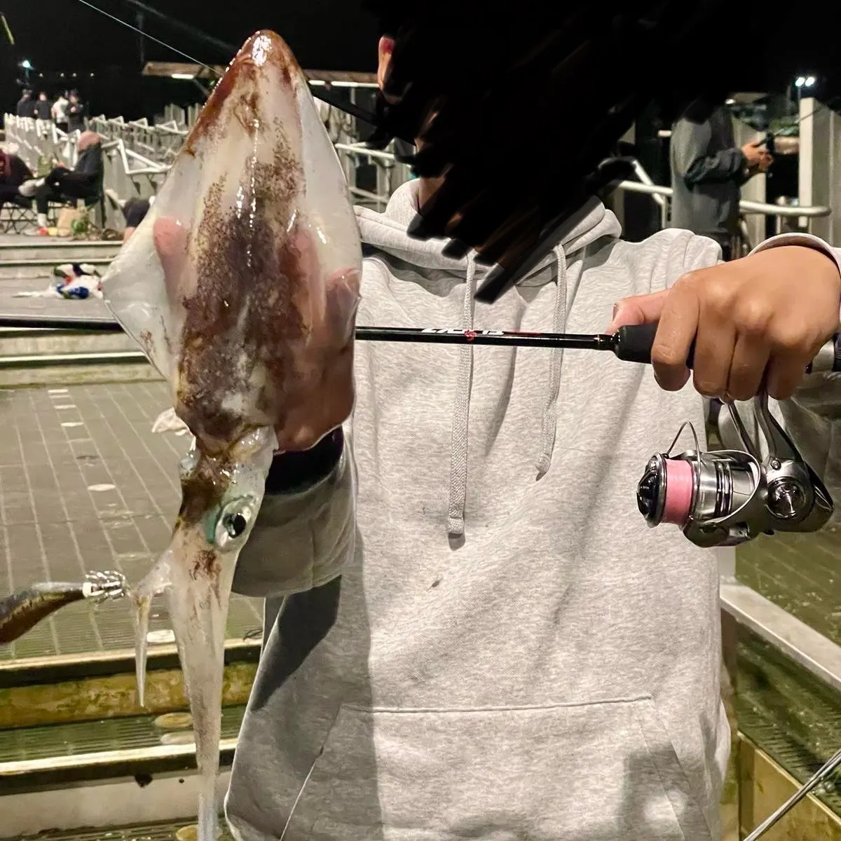 The most recent Southern calamari catches on Fishbrain