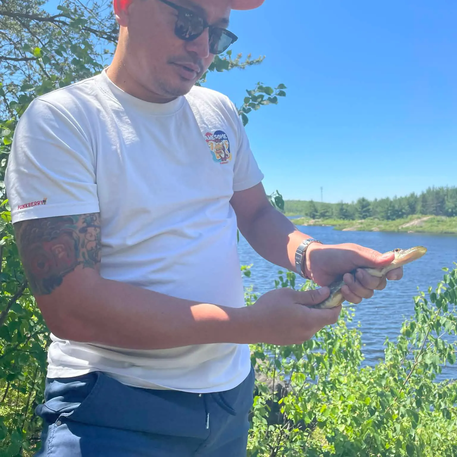 The most recent Northern pike catches on Fishbrain