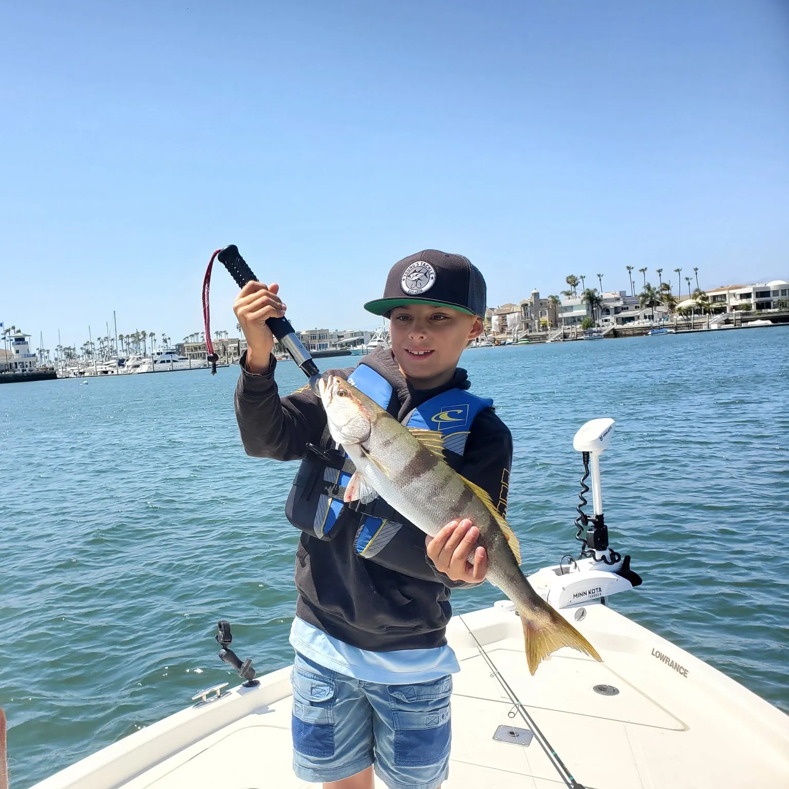 The most recent White seabass catches on Fishbrain