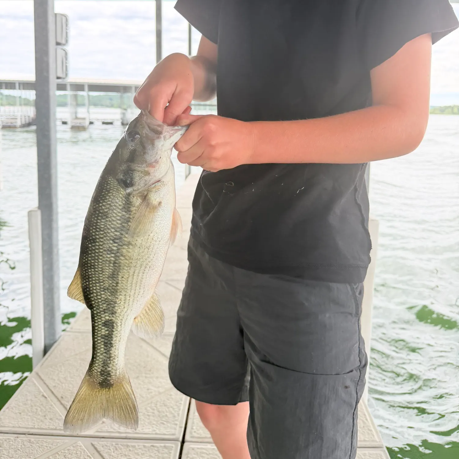 Spotted bass caught on Fishbrain