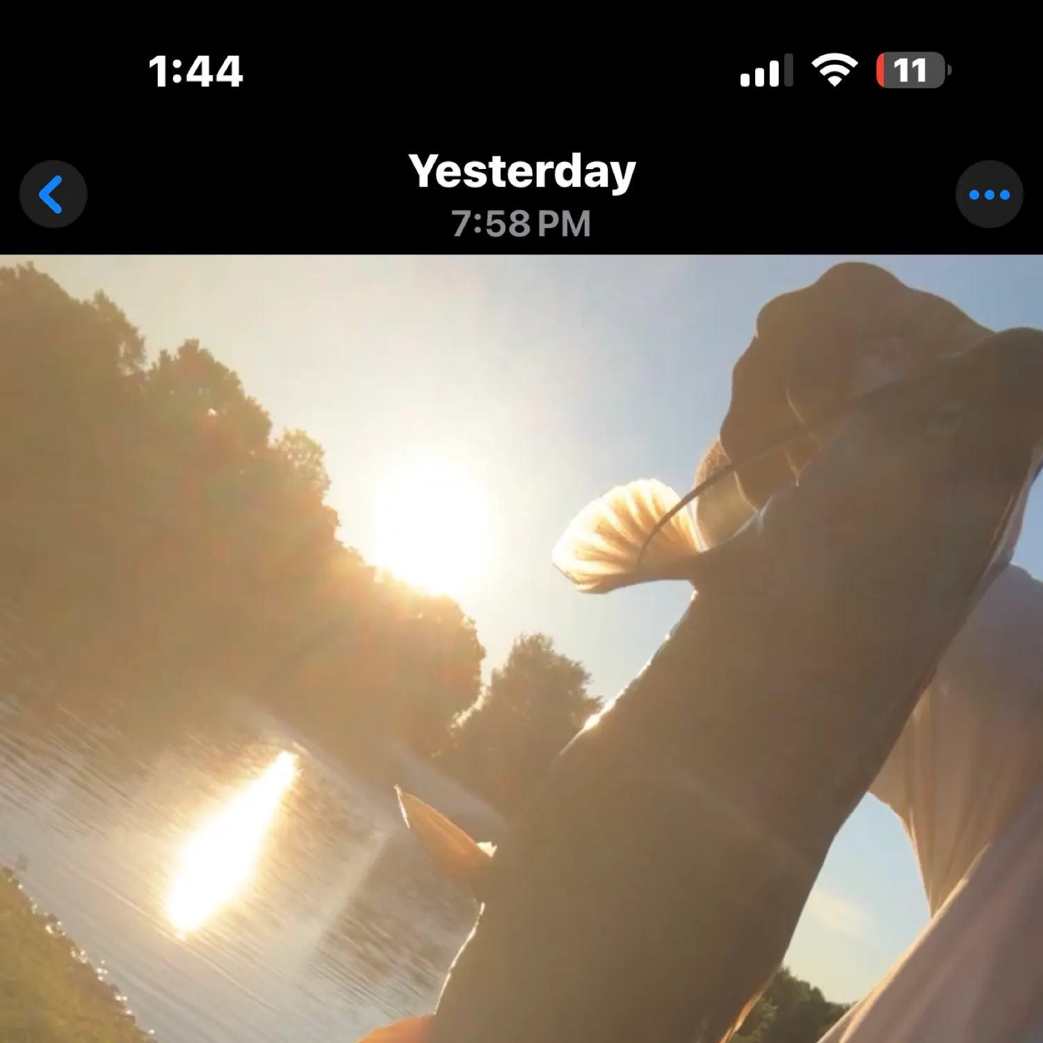 recently logged catches