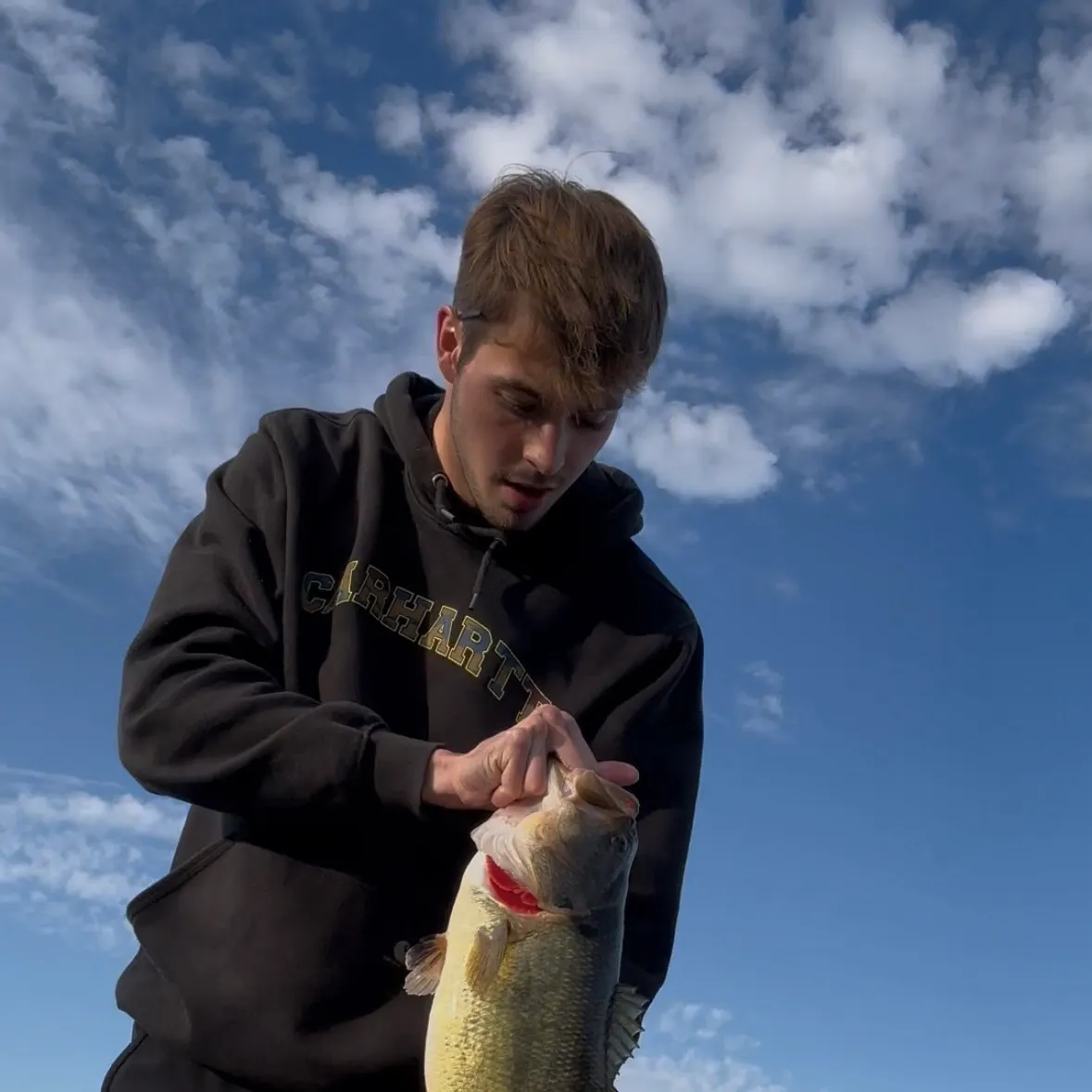Largemouth bass caught on Fishbrain