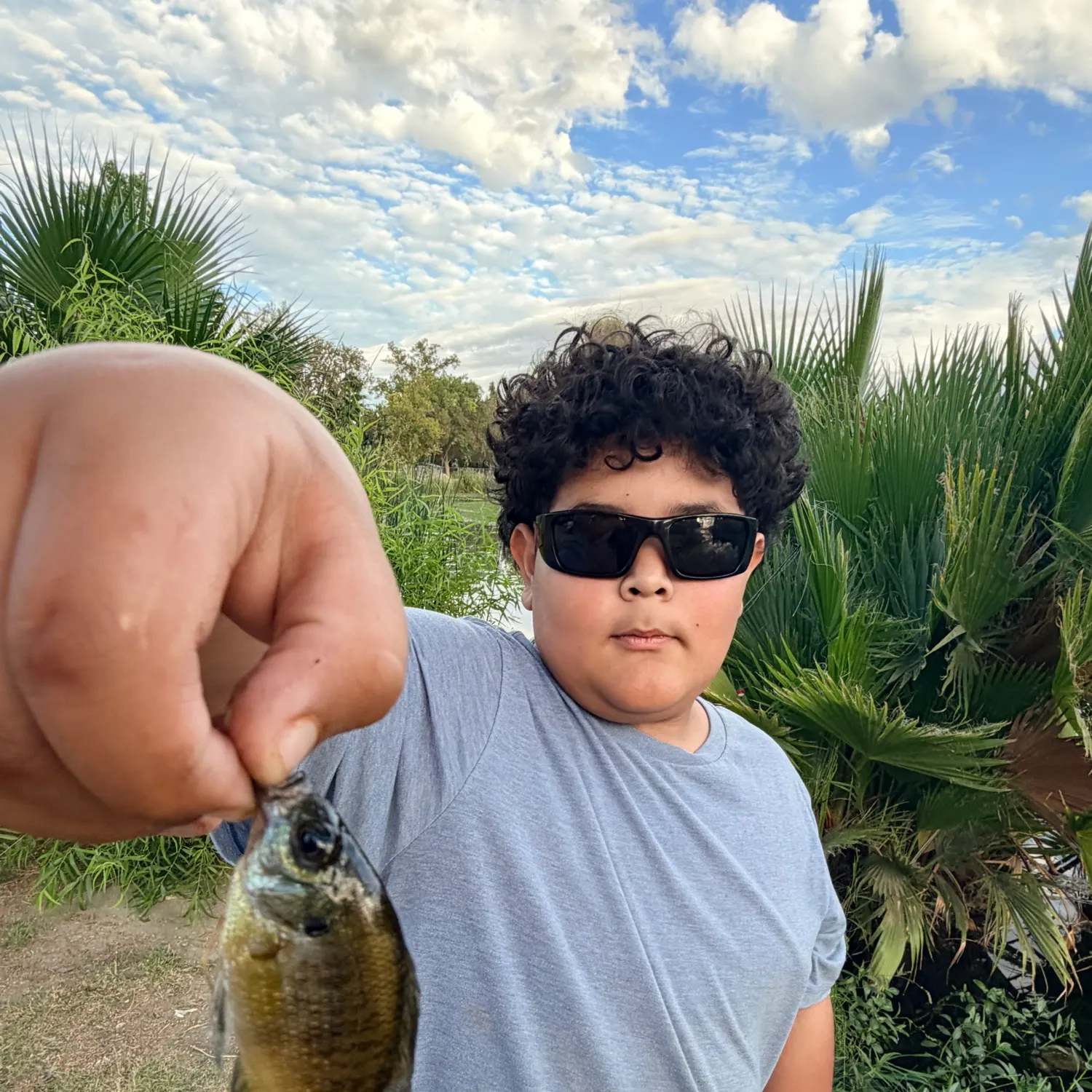 Bluegill caught on Fishbrain