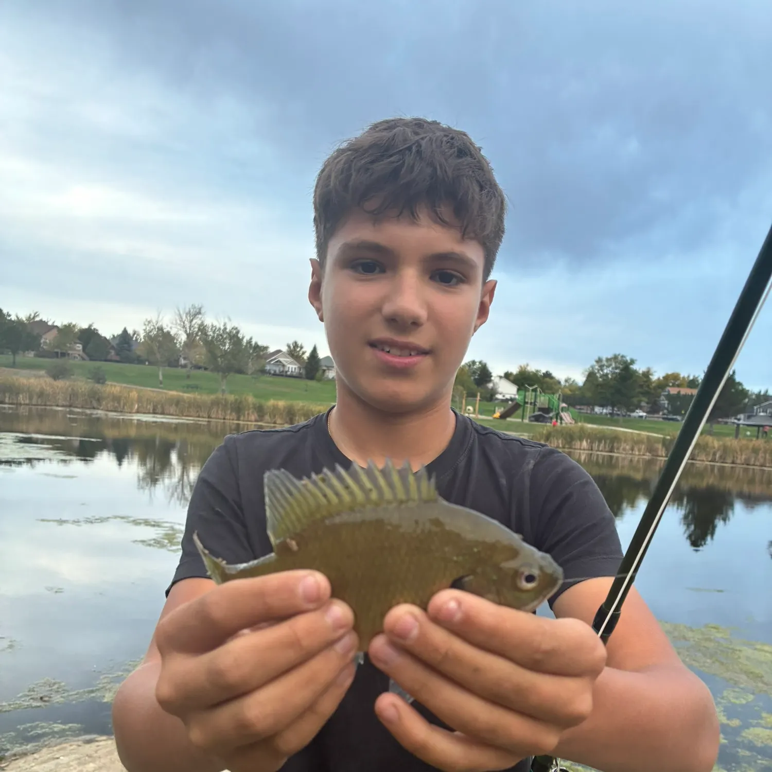 Bluegill caught on Fishbrain