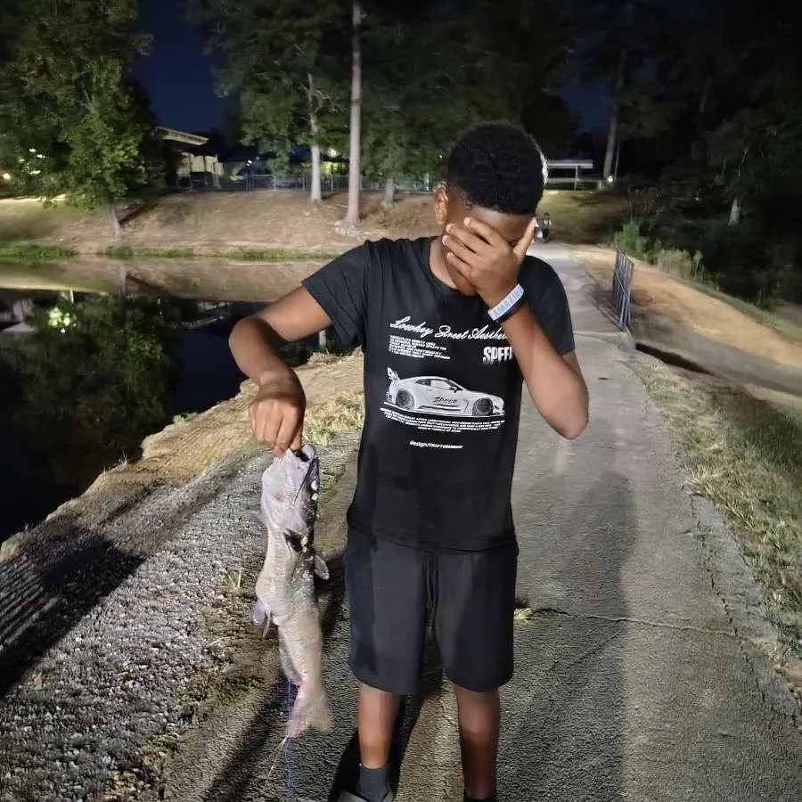 Channel catfish caught on Fishbrain