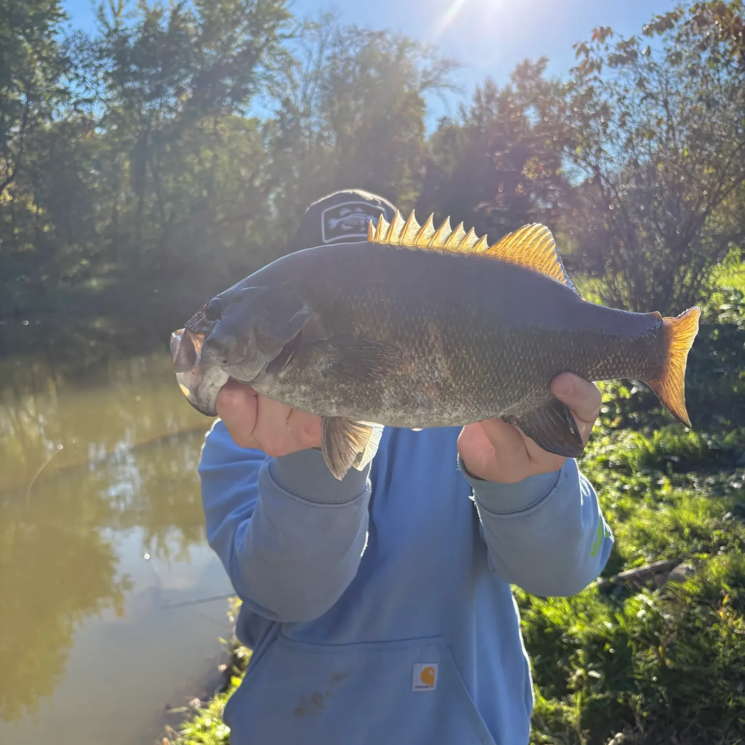 Smallmouth bass caught on Fishbrain