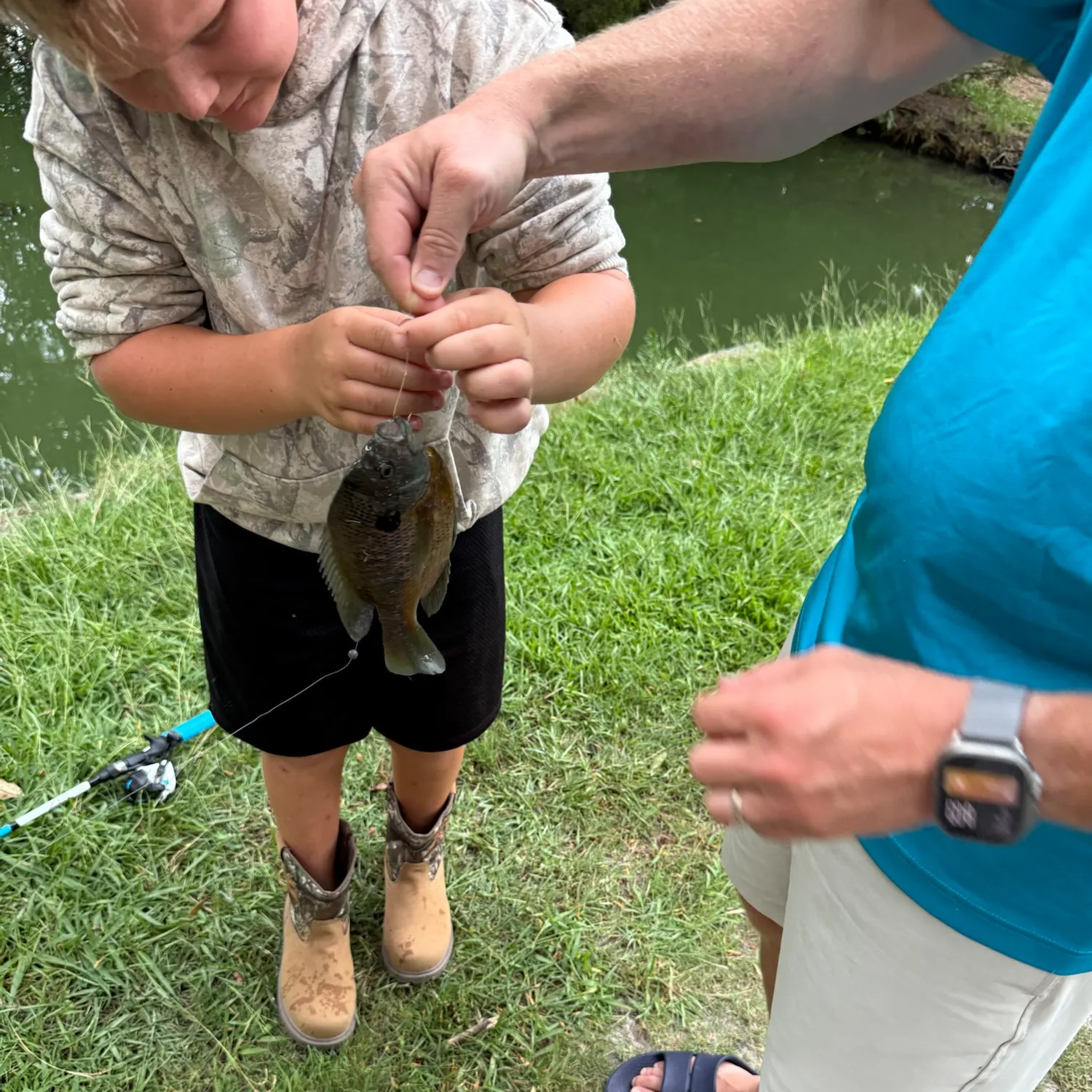 The most recent Spotted sunfish catches on Fishbrain