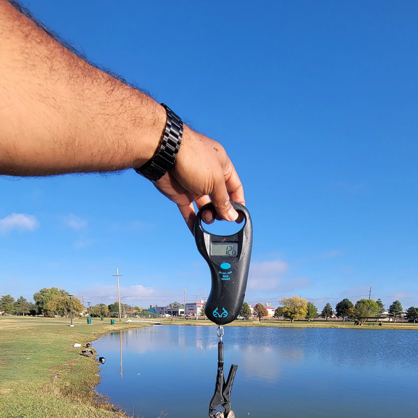 Channel catfish caught on Fishbrain