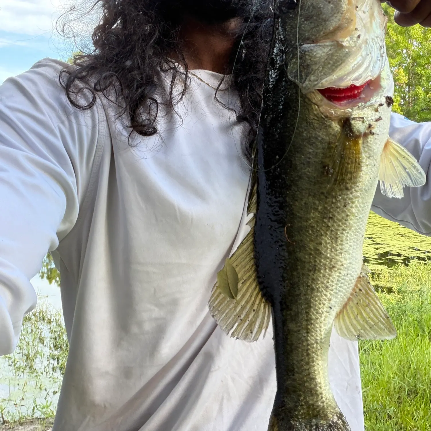 Largemouth bass caught on Fishbrain
