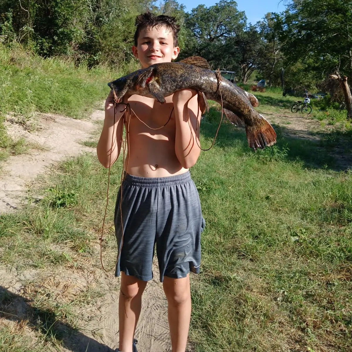Flathead catfish caught on Fishbrain