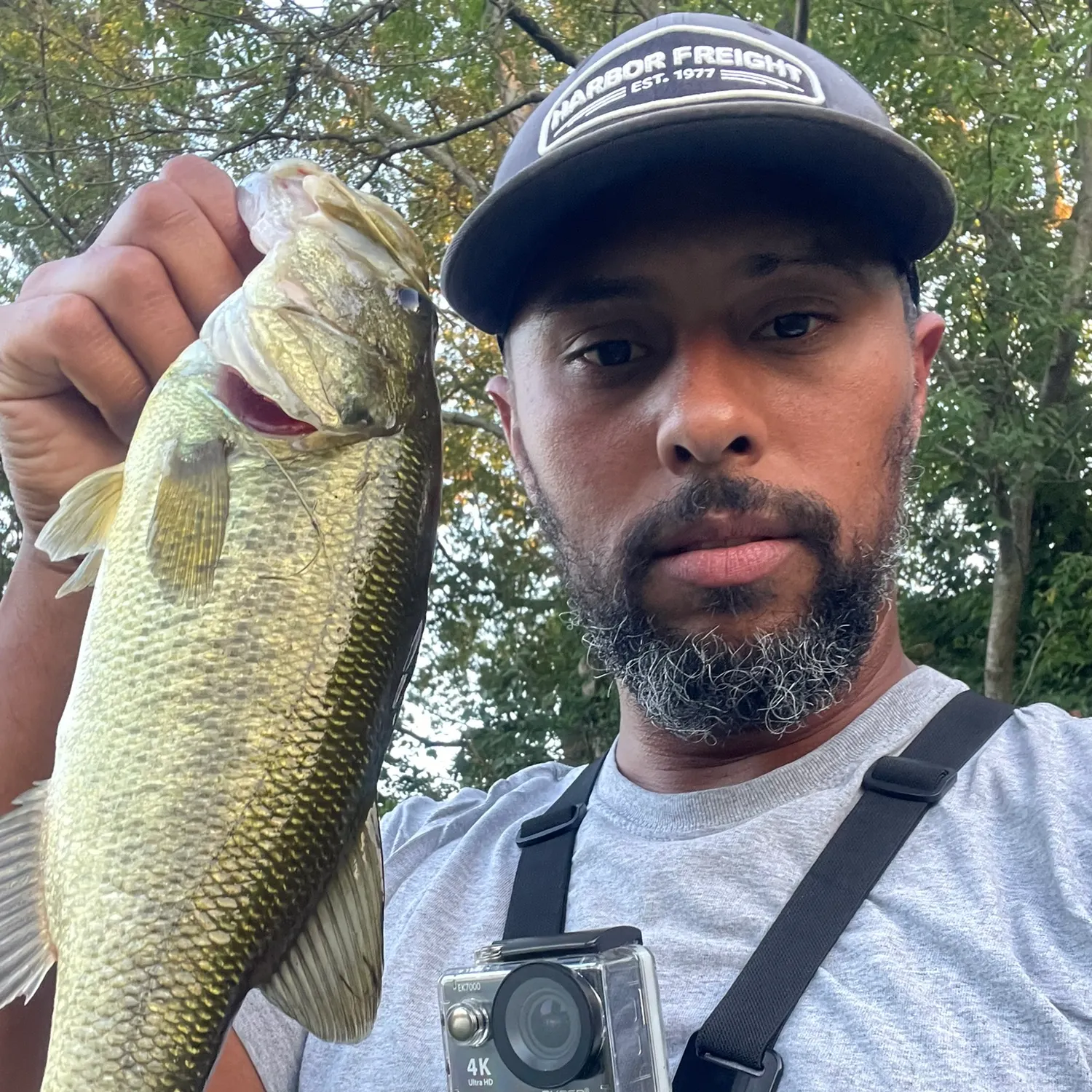 Largemouth bass caught on Fishbrain