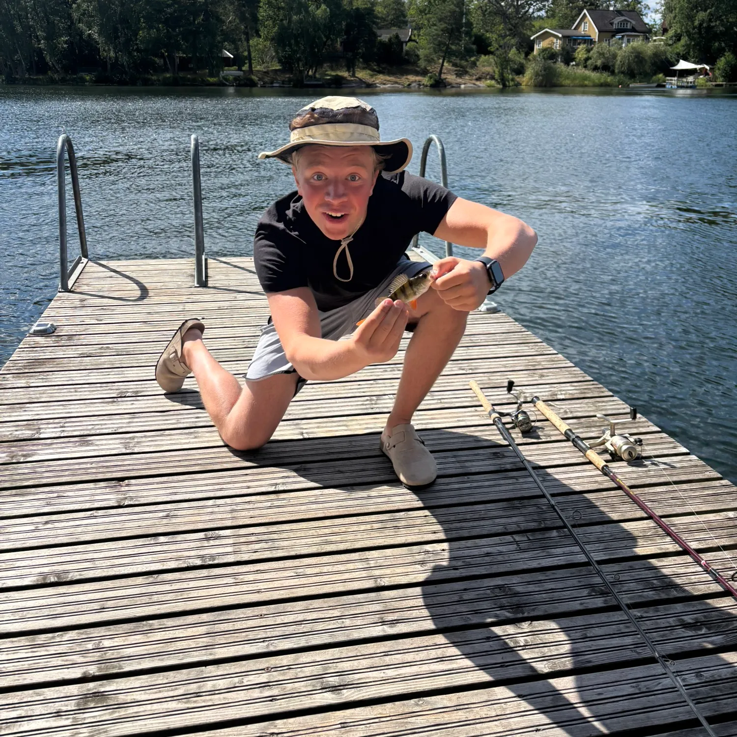 European perch caught on Fishbrain
