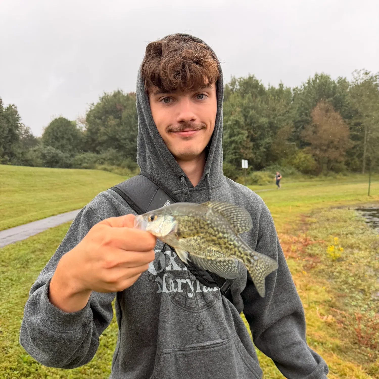Black crappie caught on Fishbrain
