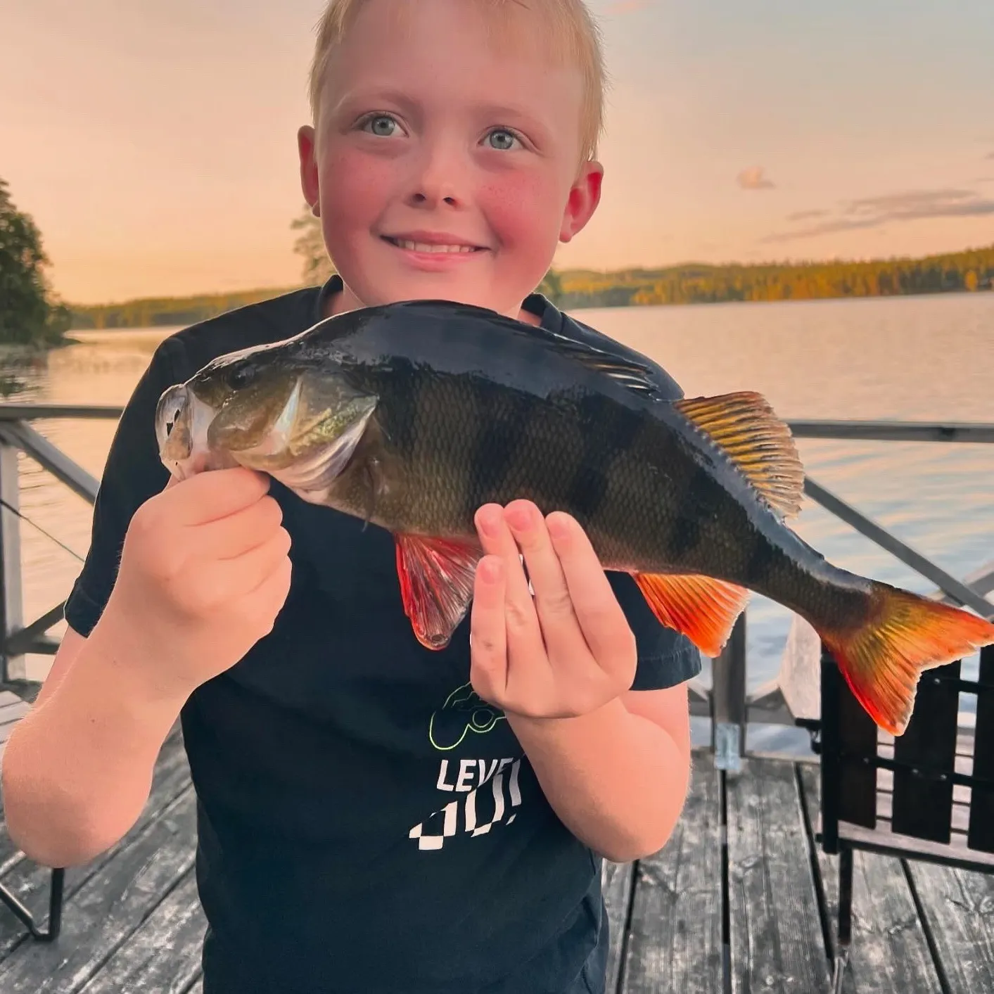 European perch caught on Fishbrain
