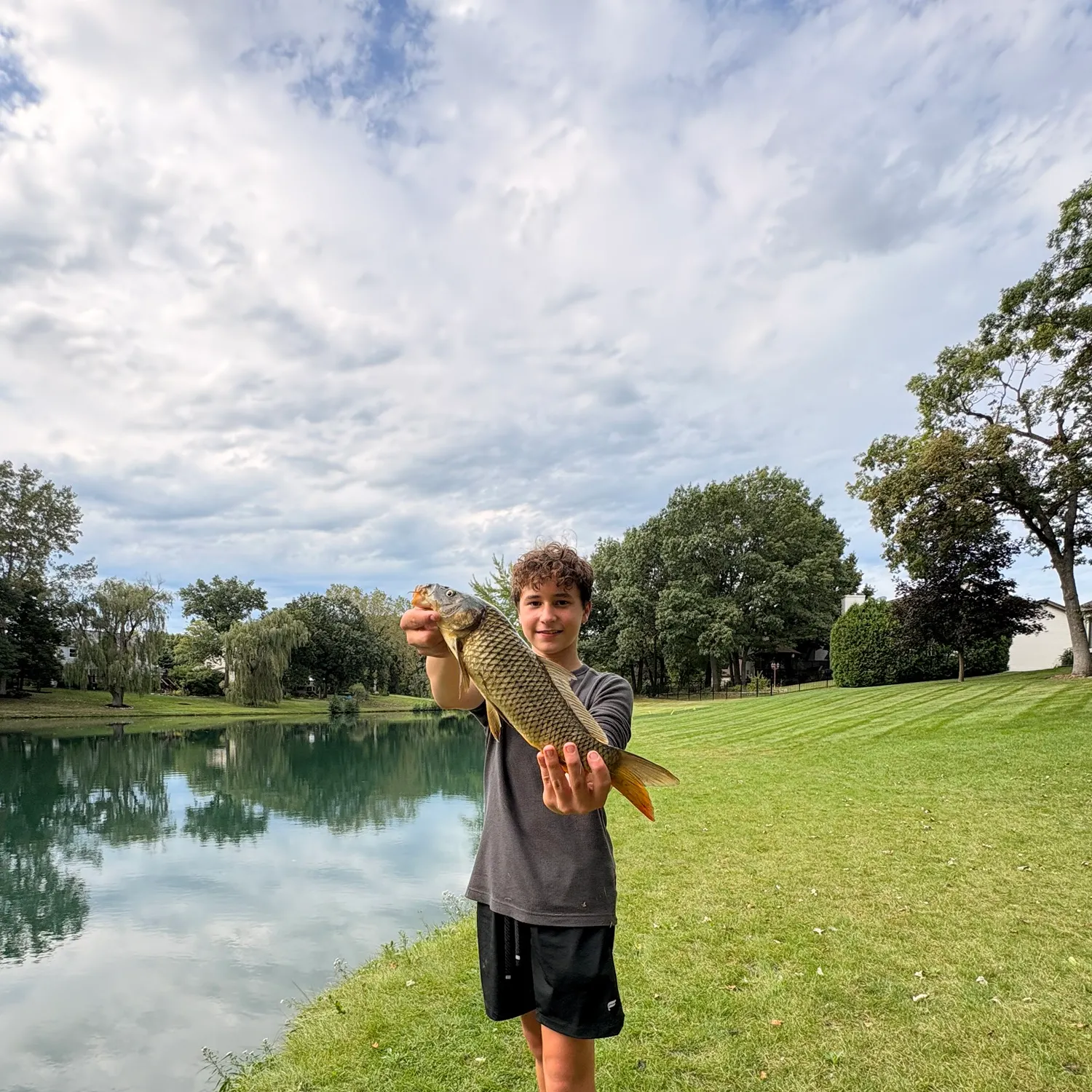 Common carp caught on Fishbrain