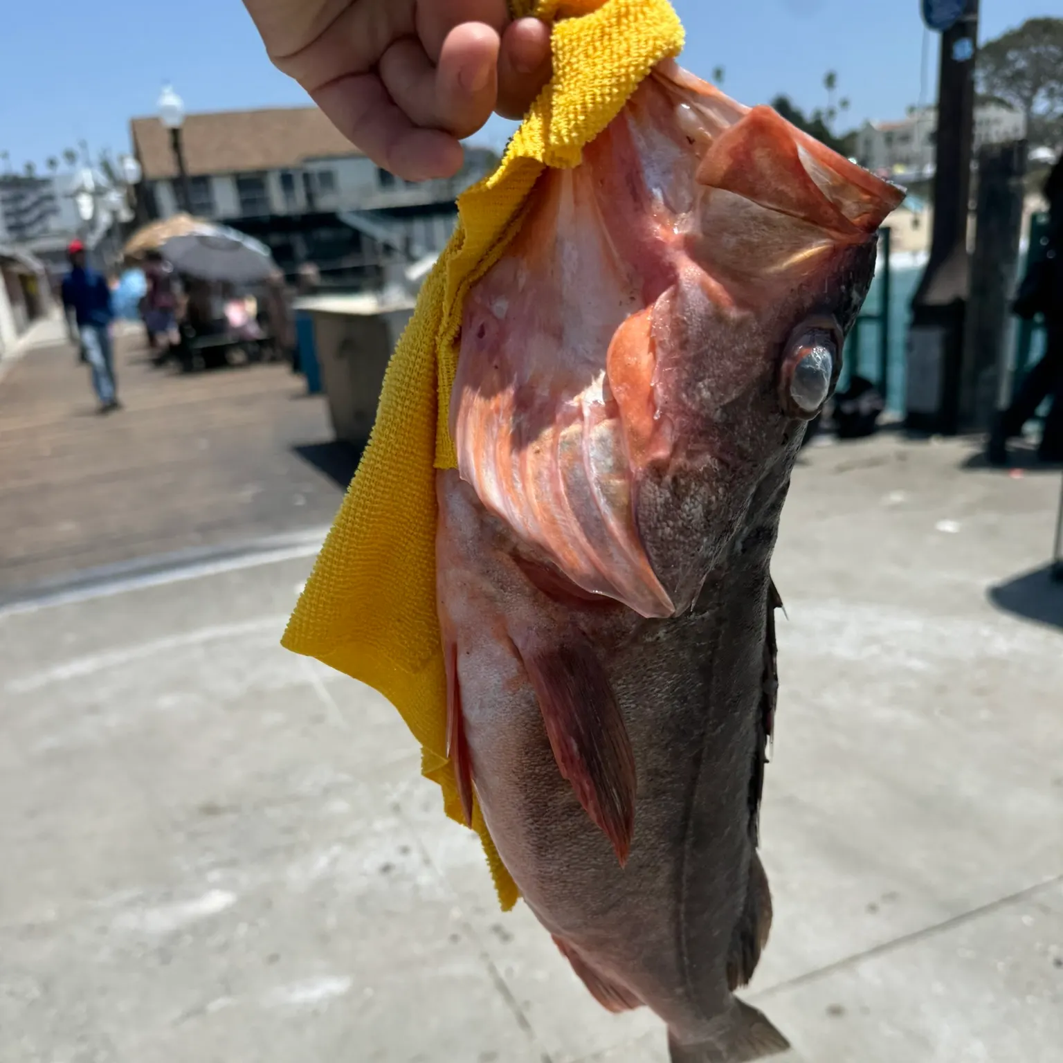 catch