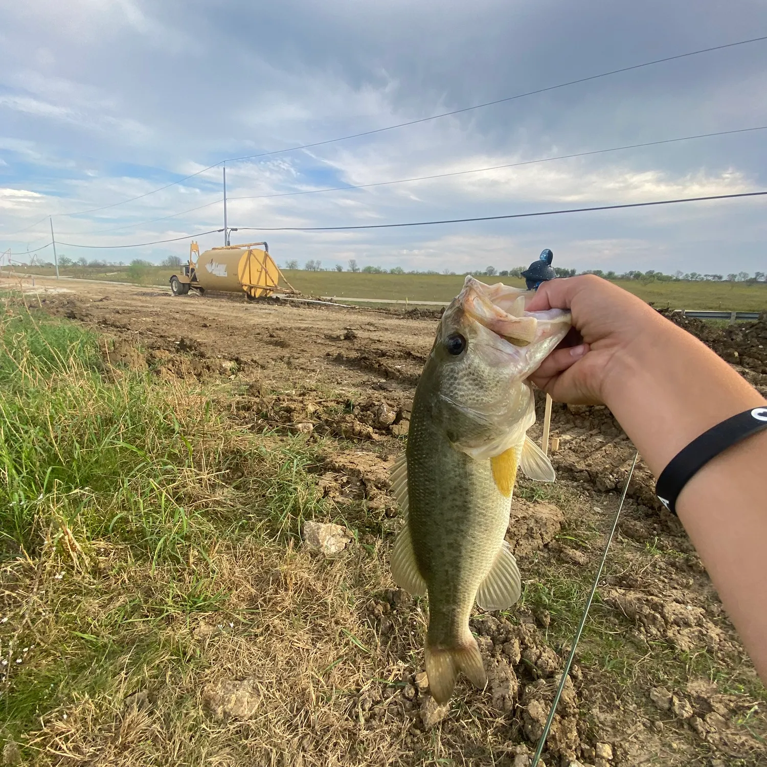 The most recent Largemouth bass catches on Fishbrain