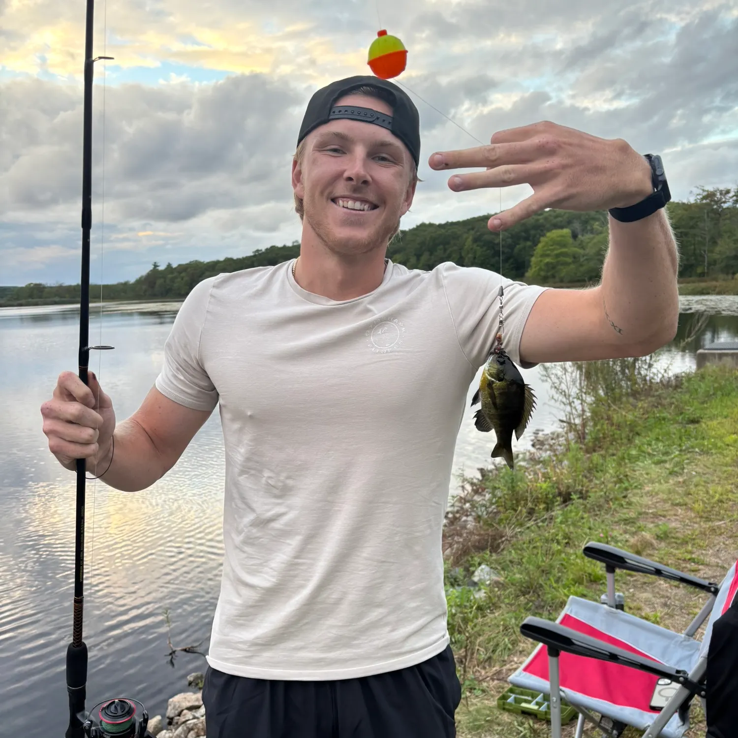 Bluegill caught on Fishbrain