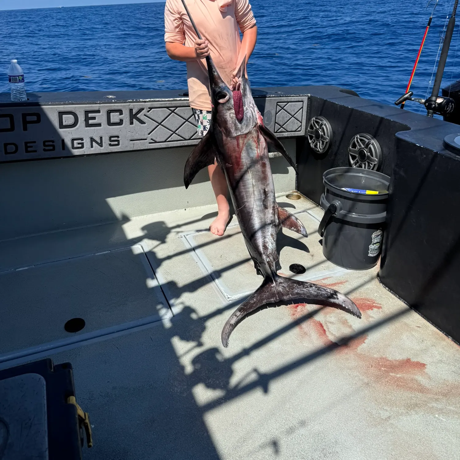 The most recent Swordfish catches on Fishbrain