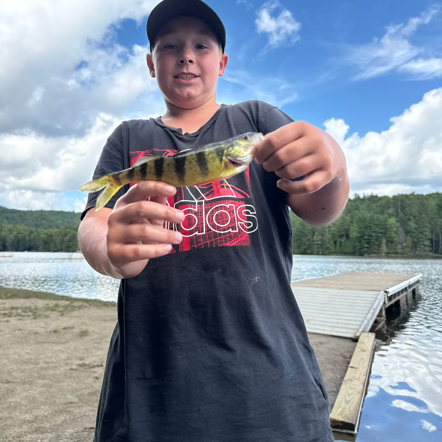 Yellow perch caught on Fishbrain