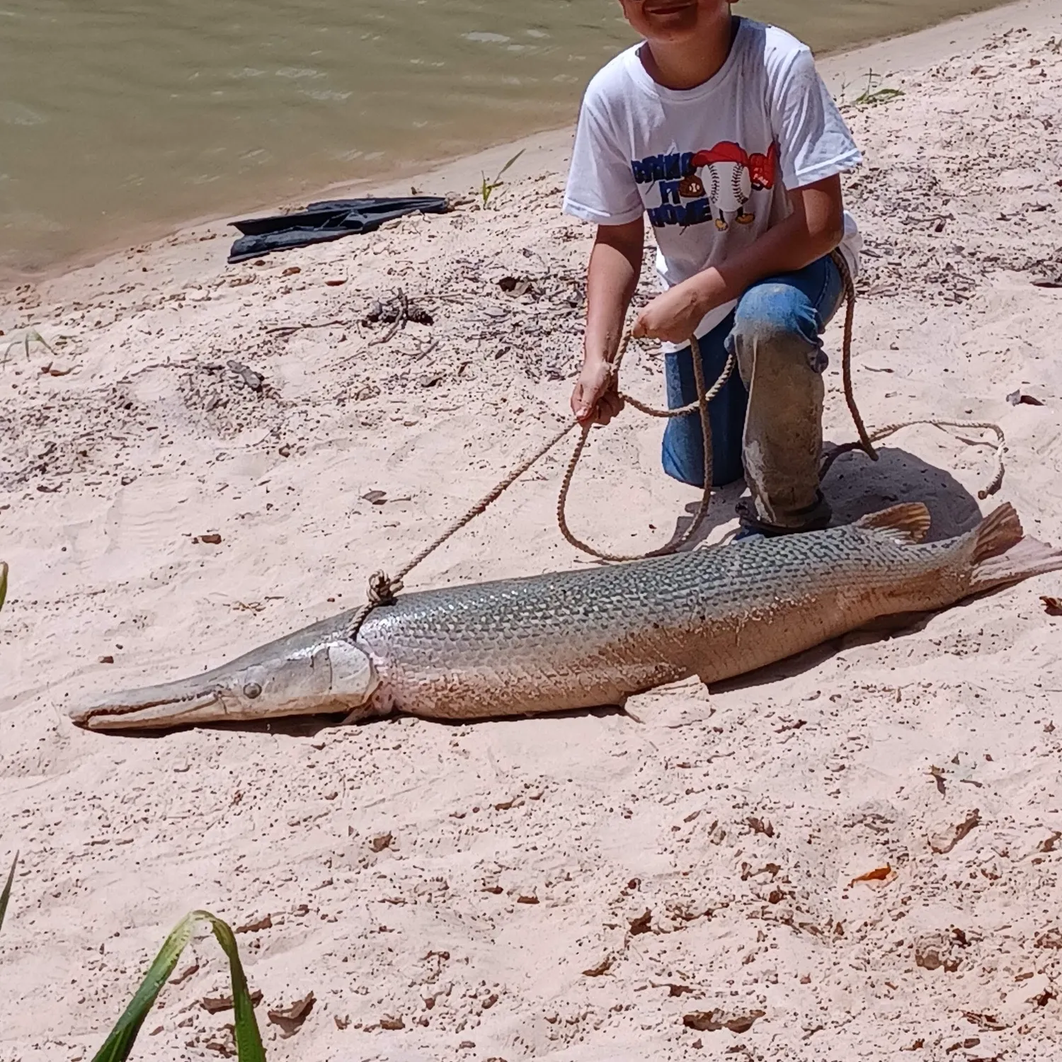 The most recent Alligator gar catches on Fishbrain