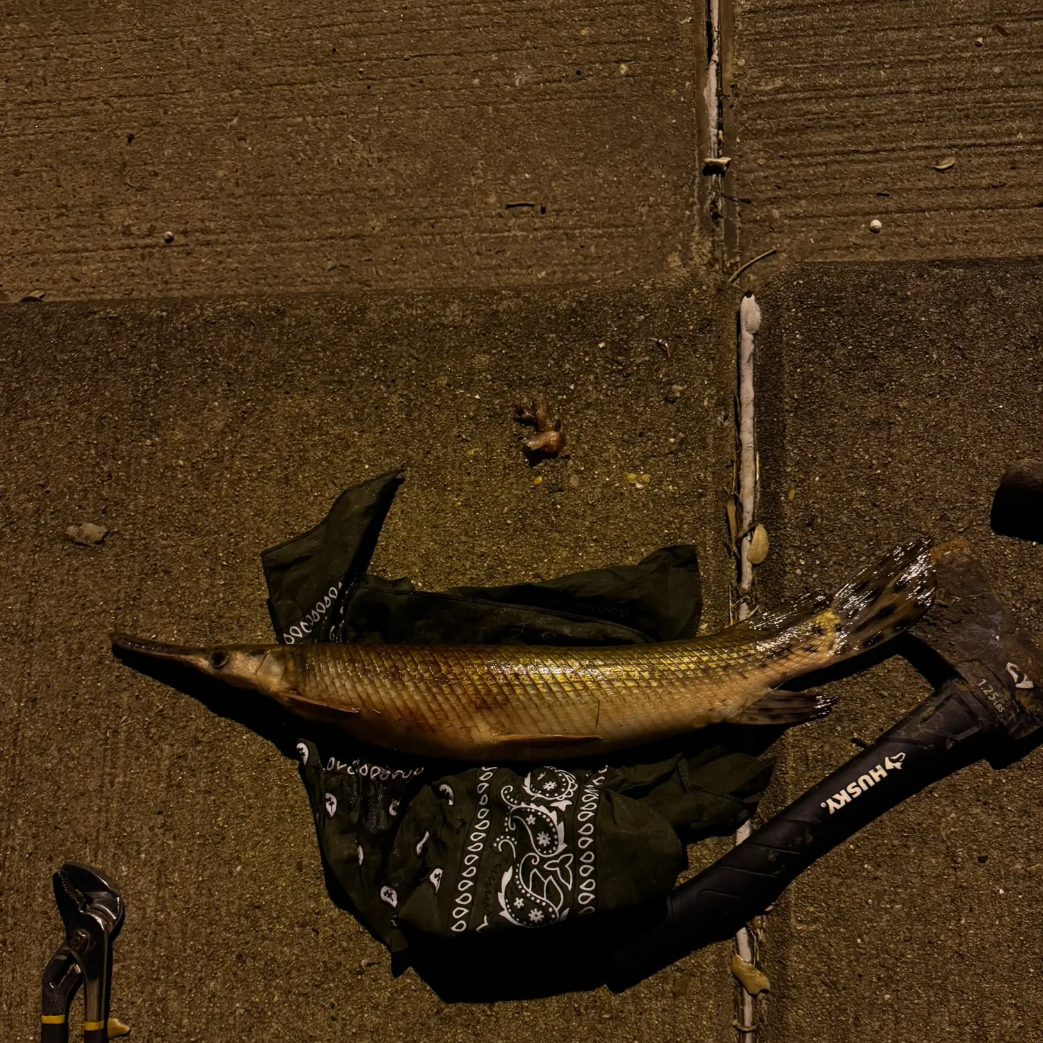 catch