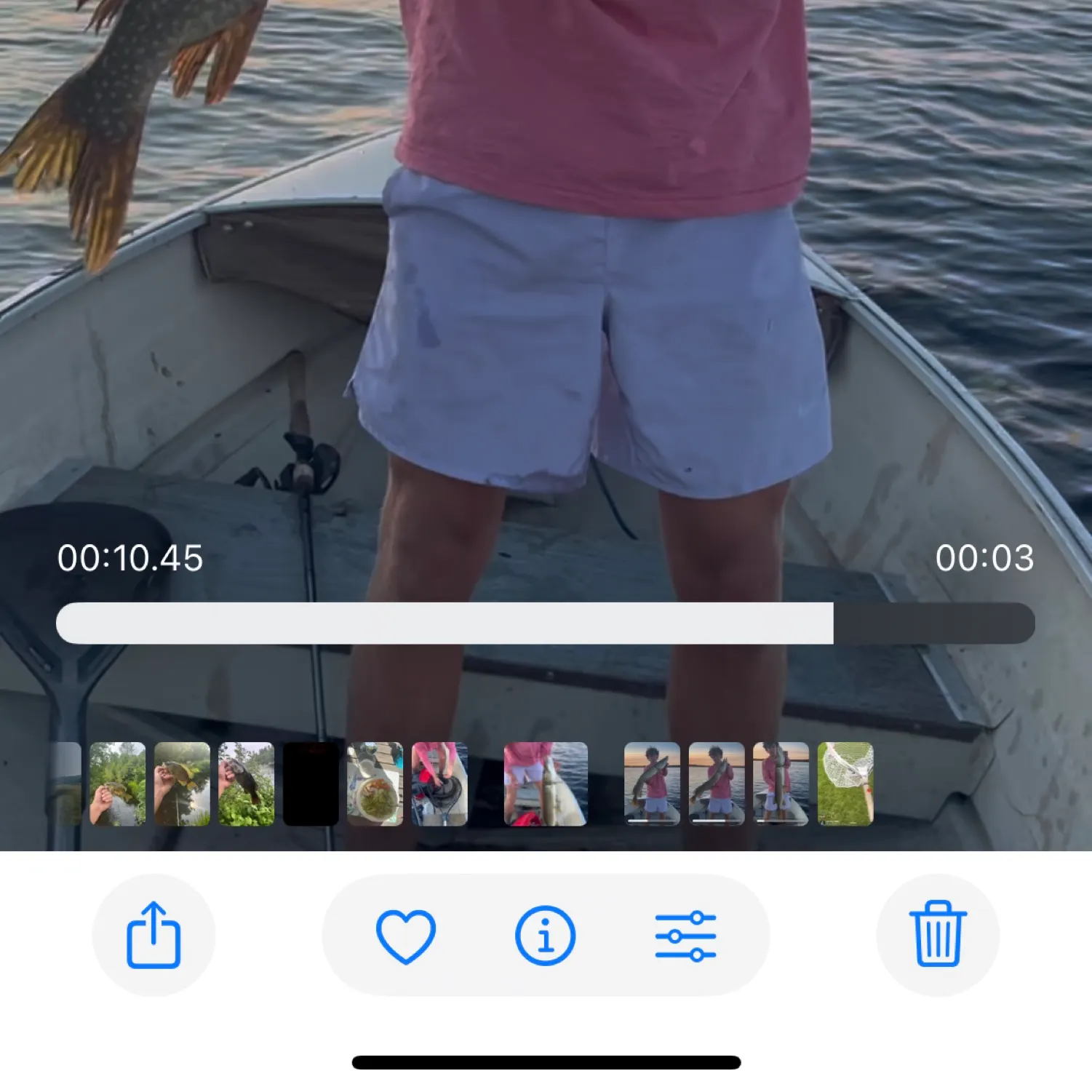 recently logged catches