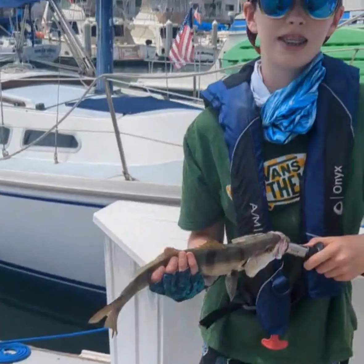 White seabass caught on Fishbrain