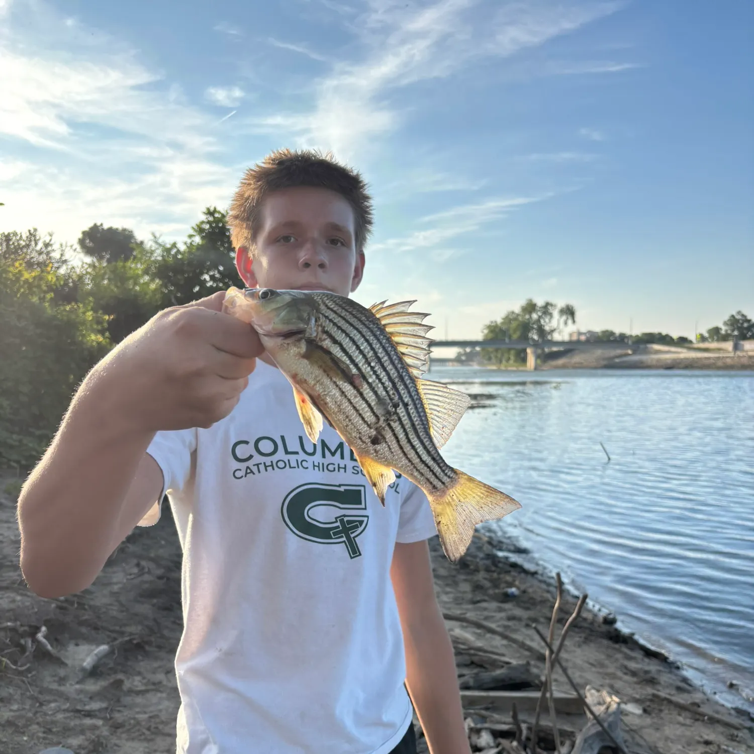 Yellow bass caught on Fishbrain