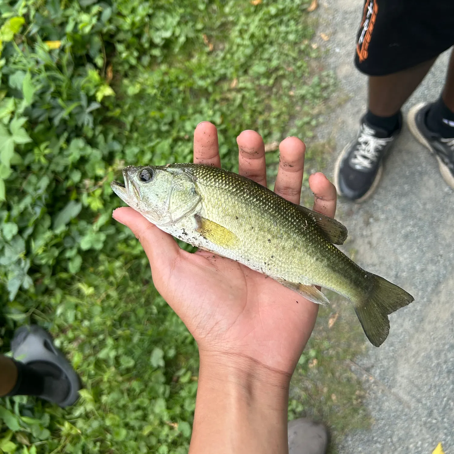 catch
