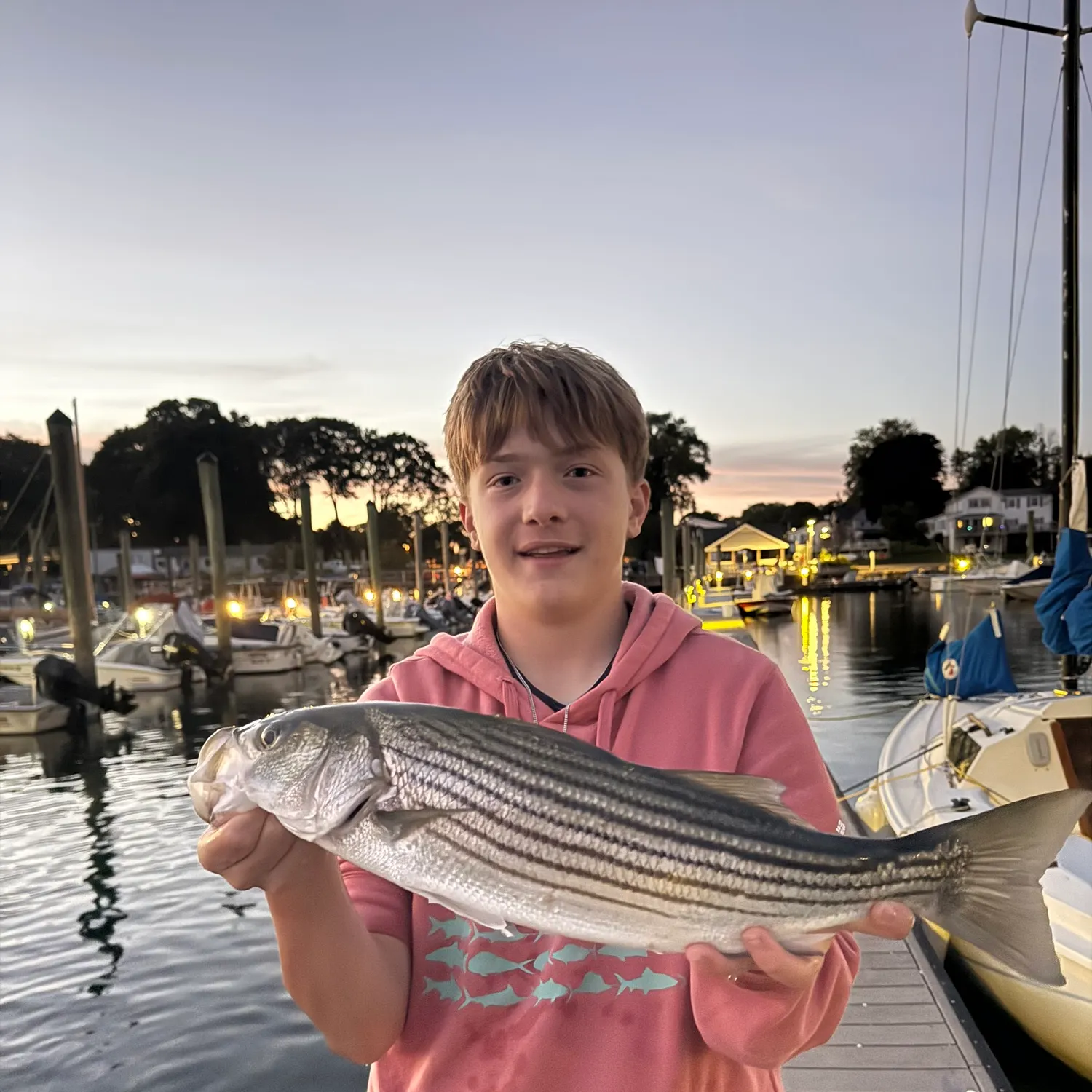 Striped bass caught on Fishbrain