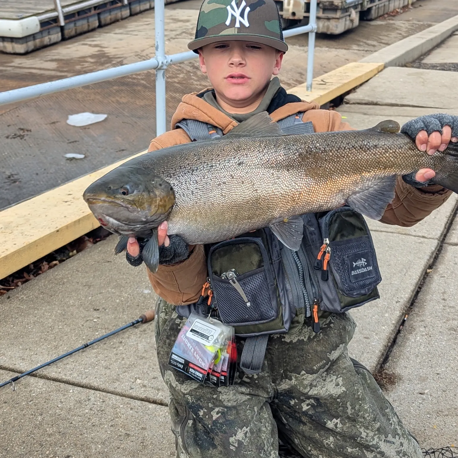 The most recent Sea trout catches on Fishbrain