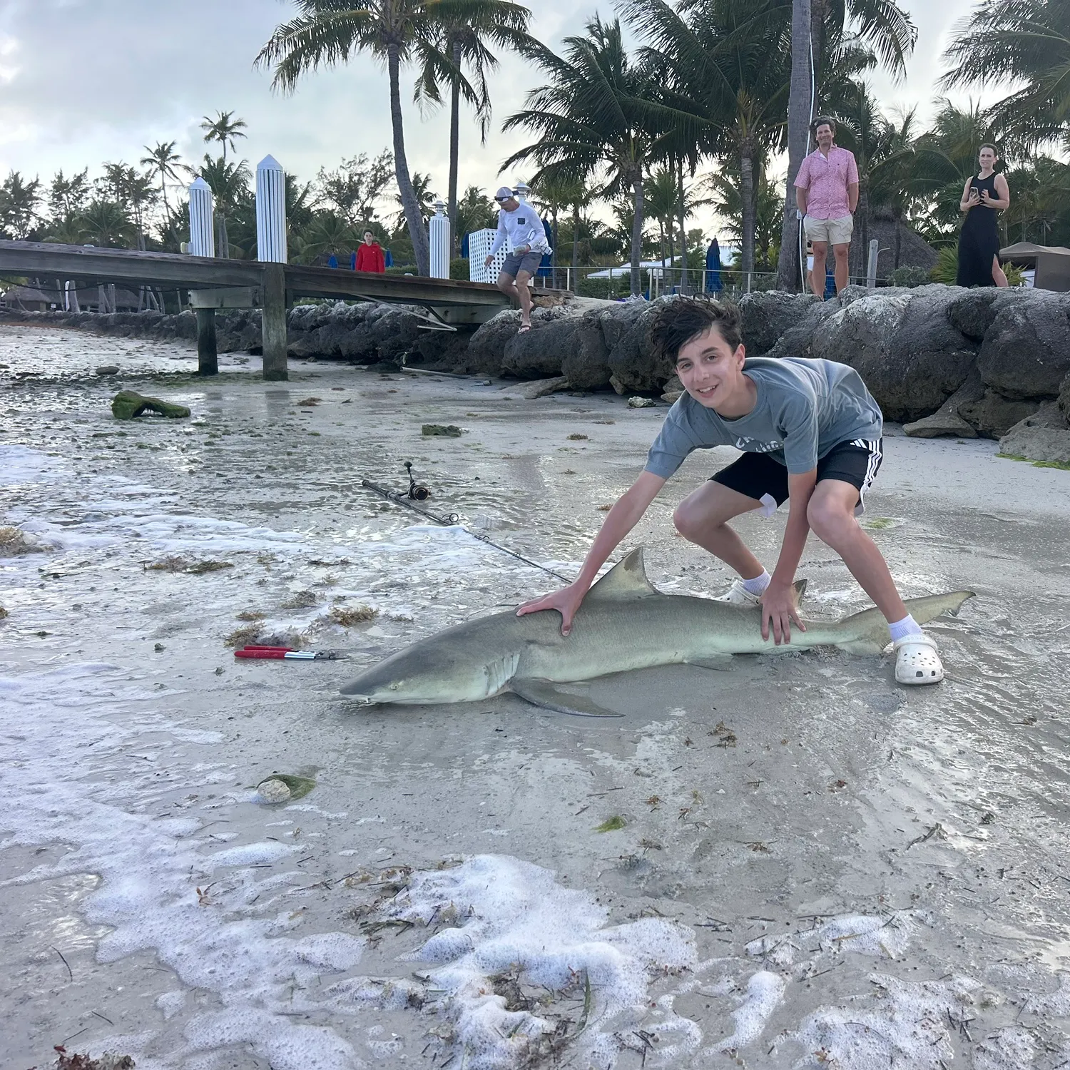 The most recent Lemon shark catches on Fishbrain