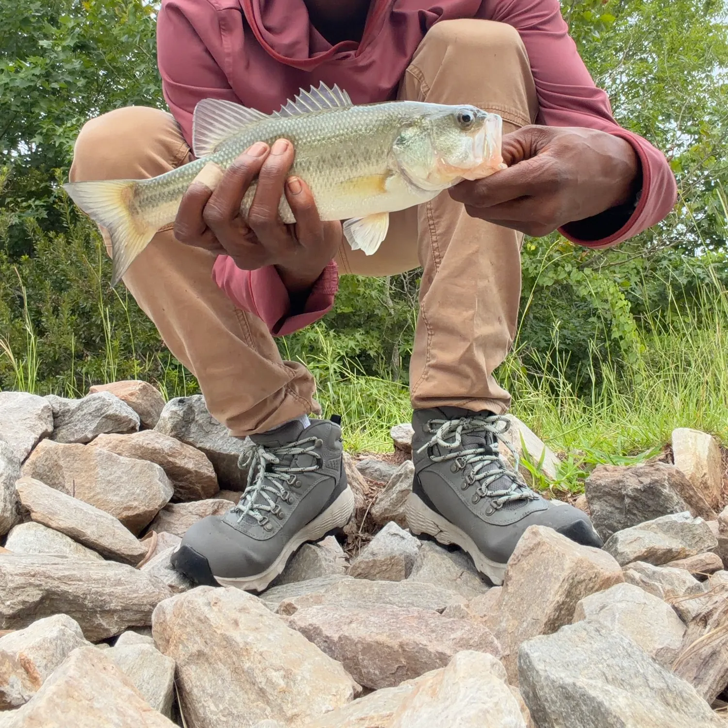 Largemouth bass caught on Fishbrain