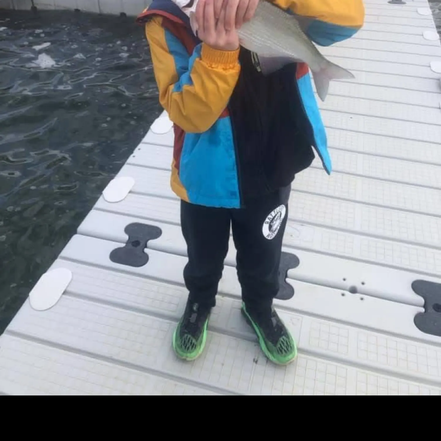 The most recent Skipjack herring catches on Fishbrain
