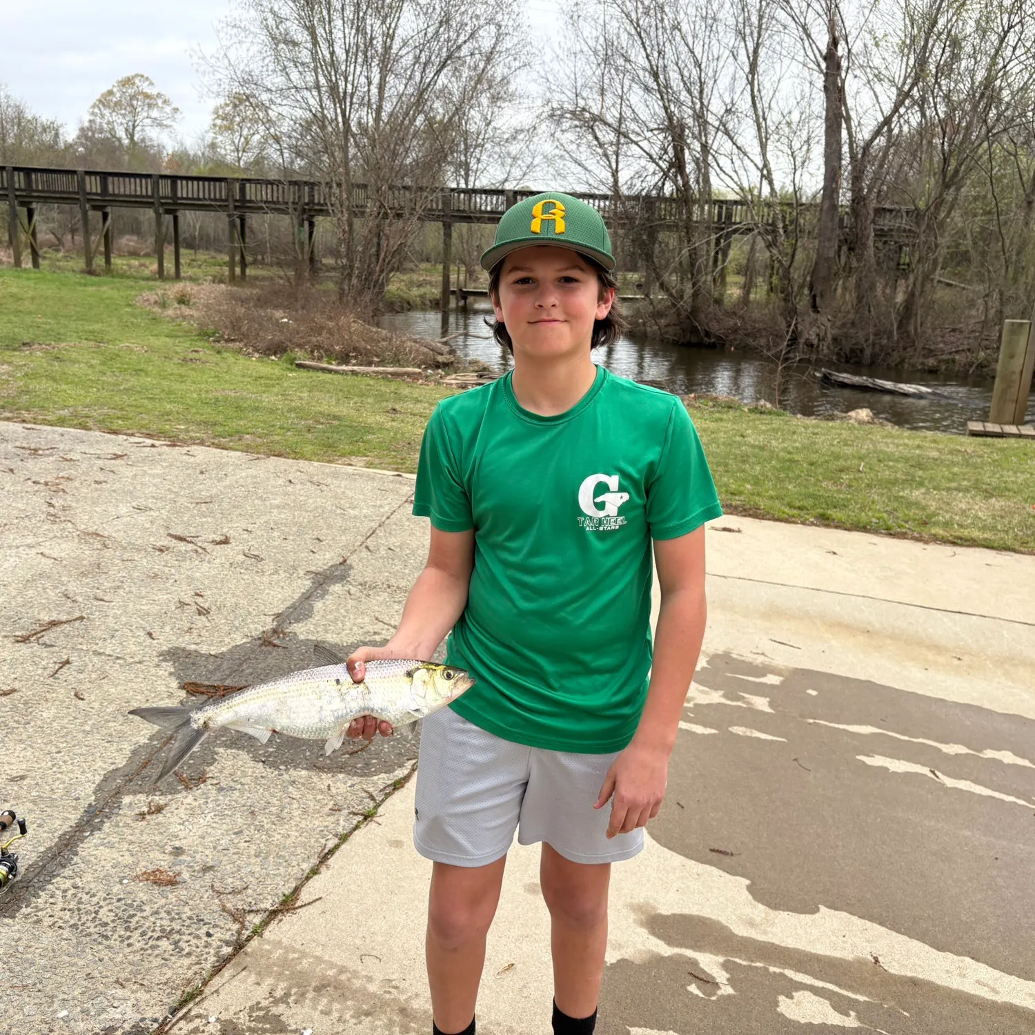 The most recent American shad catches on Fishbrain
