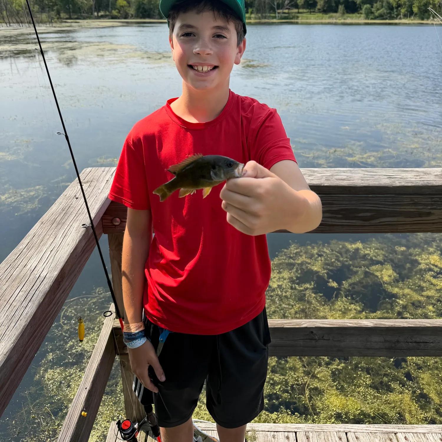 Bluegill caught on Fishbrain
