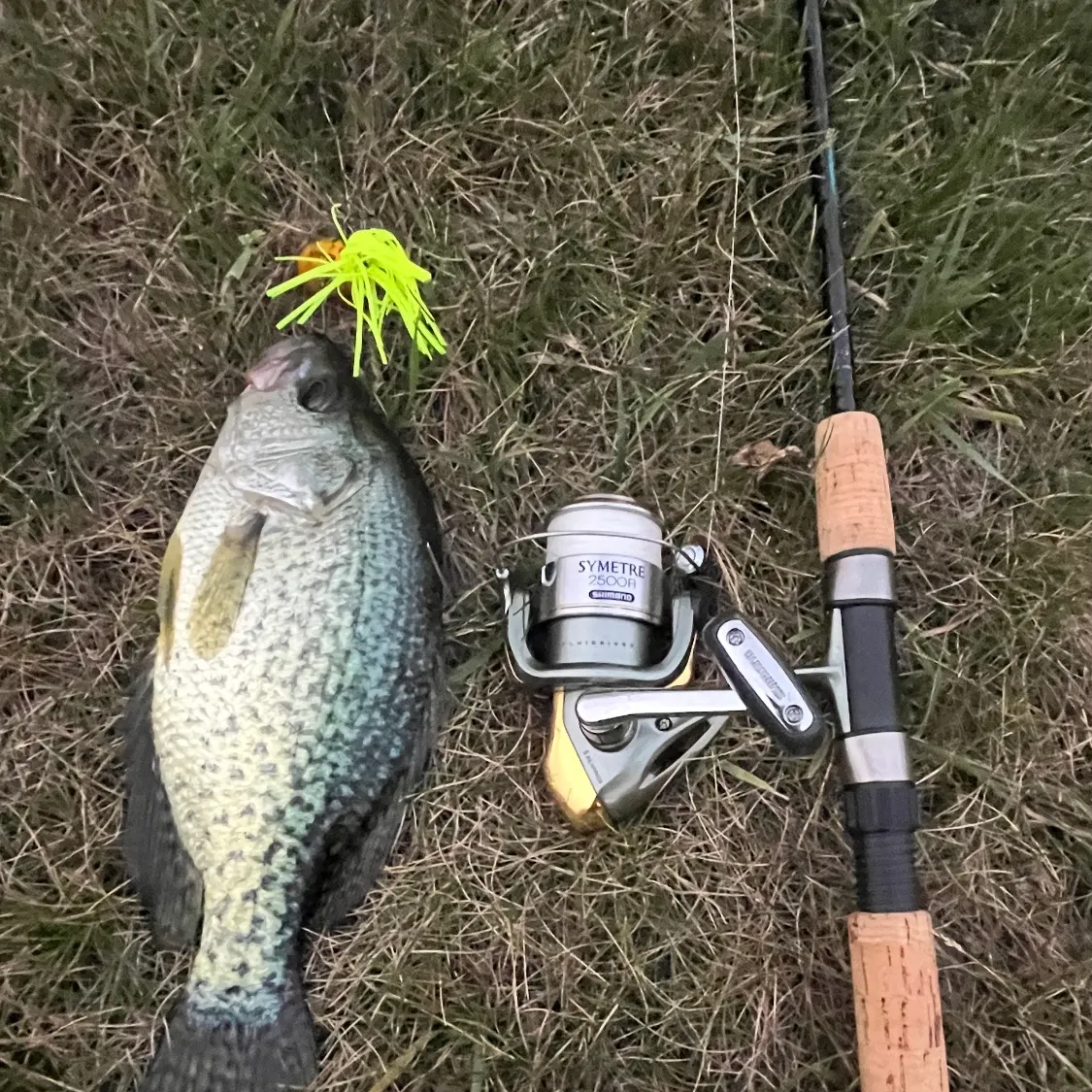 The most recent White crappie catches on Fishbrain