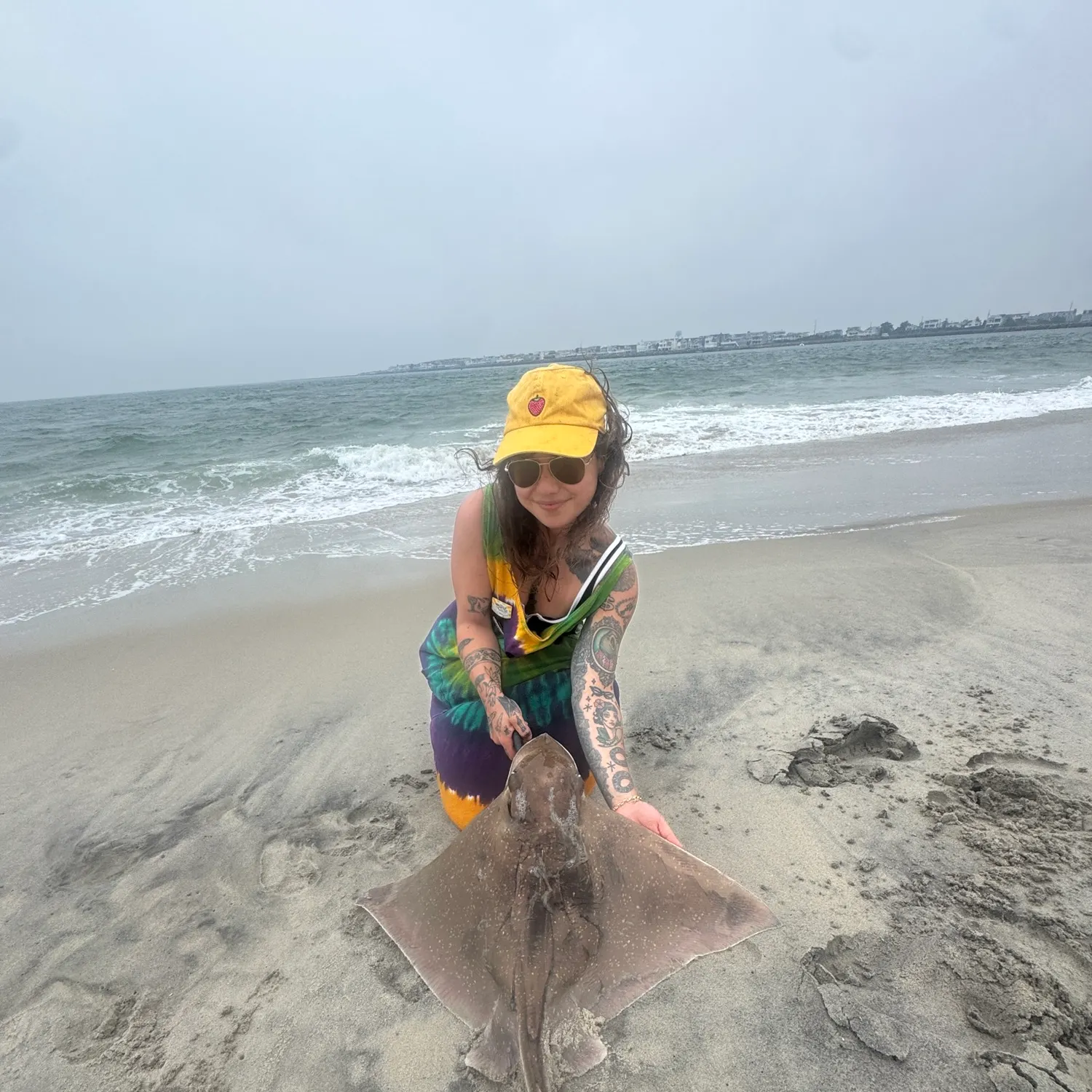 The most recent Bullnose eagle ray catches on Fishbrain