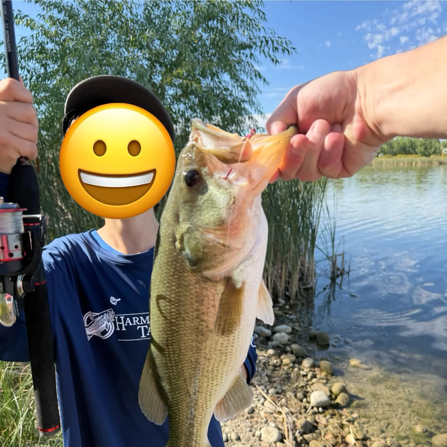 Largemouth bass caught on Fishbrain