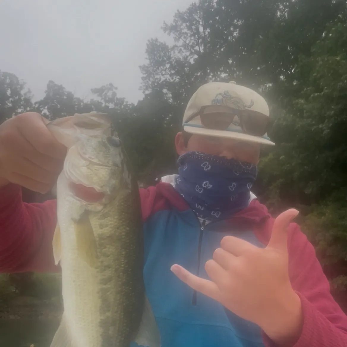 Largemouth bass caught on Fishbrain