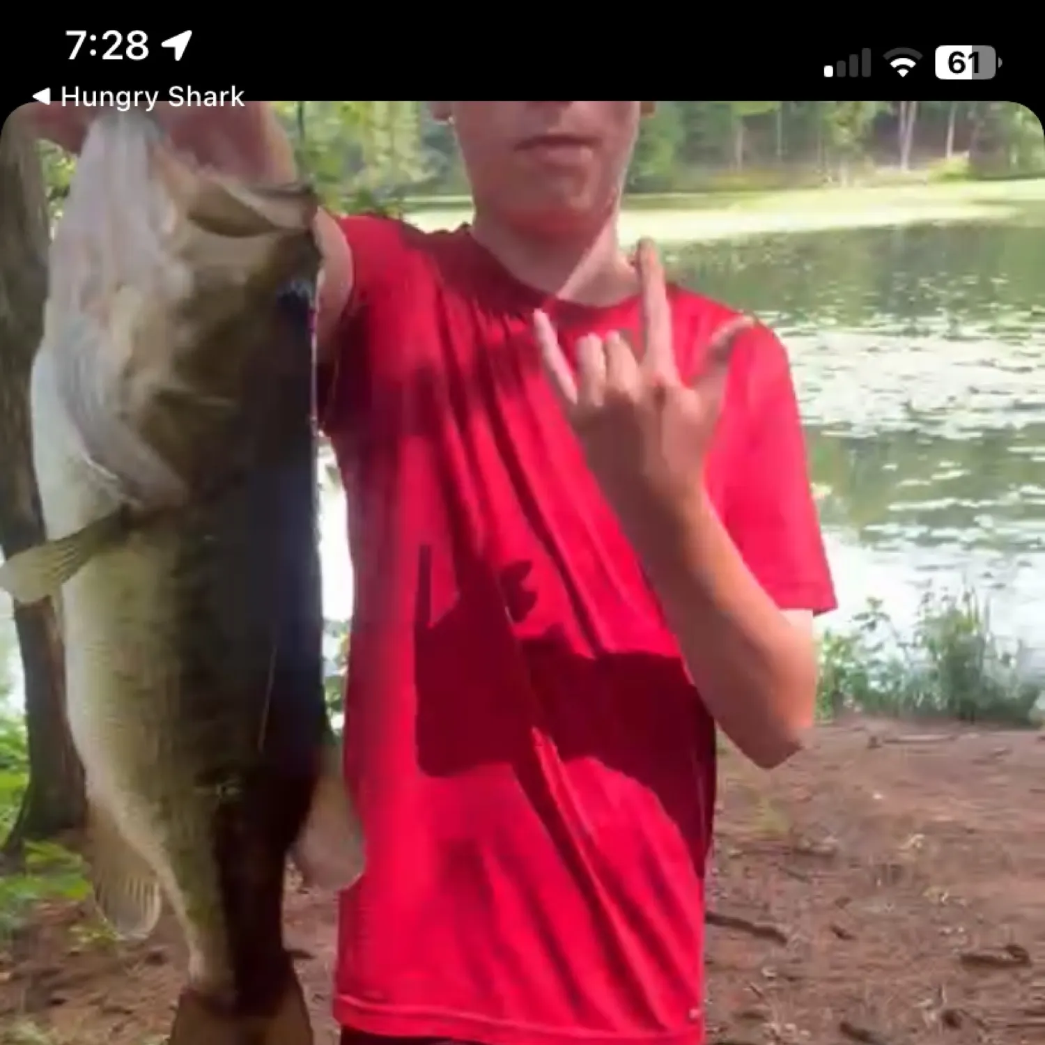 recently logged catches