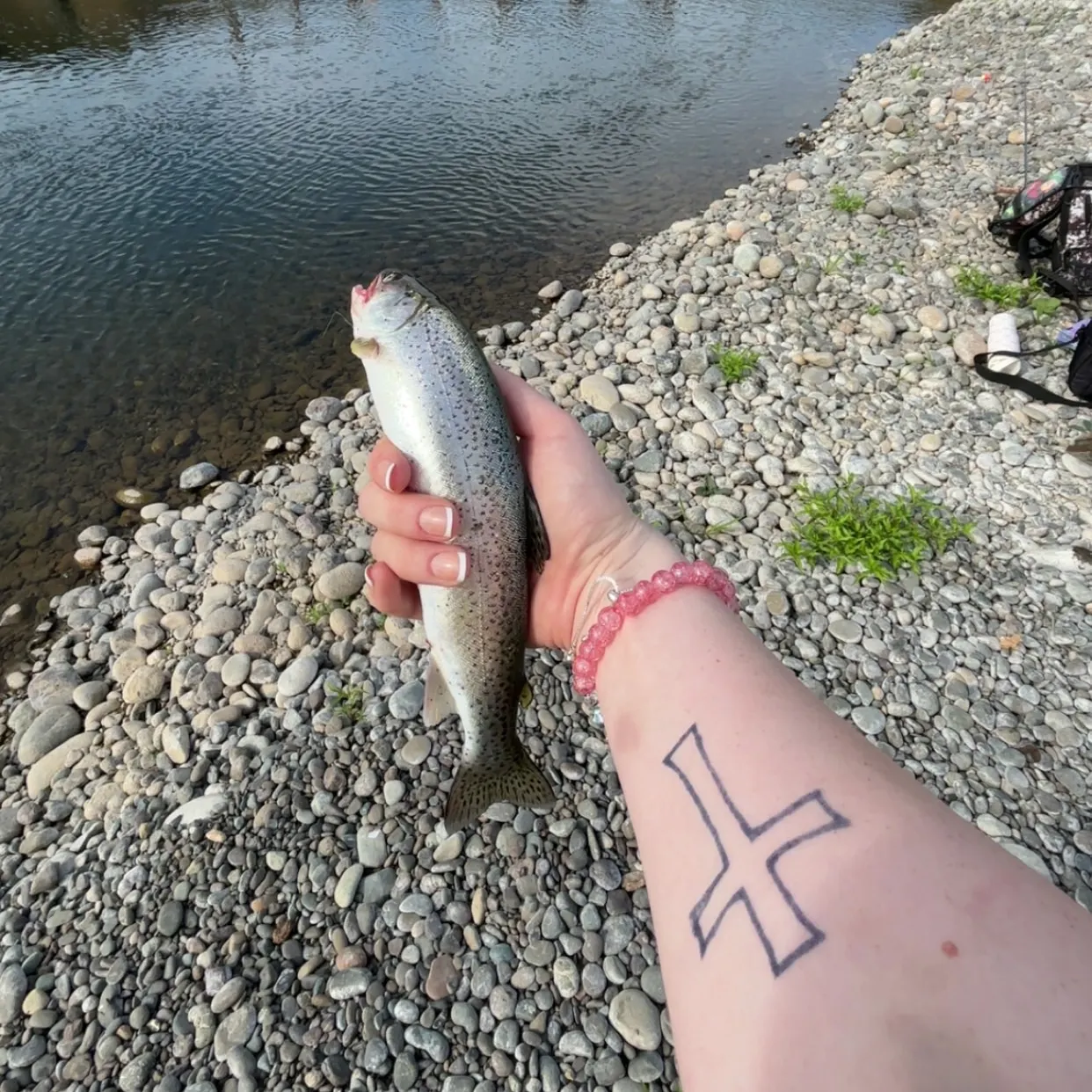The most recent Steelhead catches on Fishbrain
