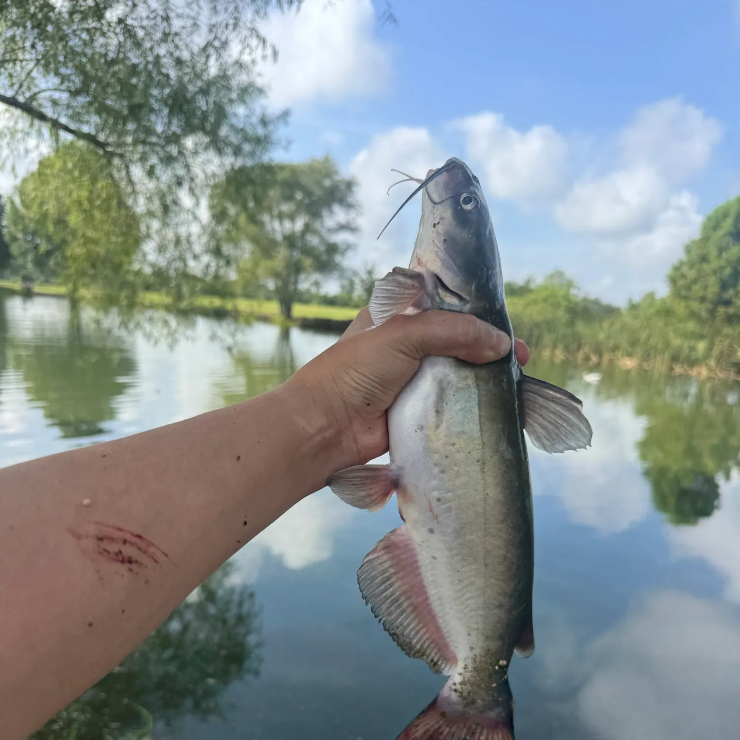 catch