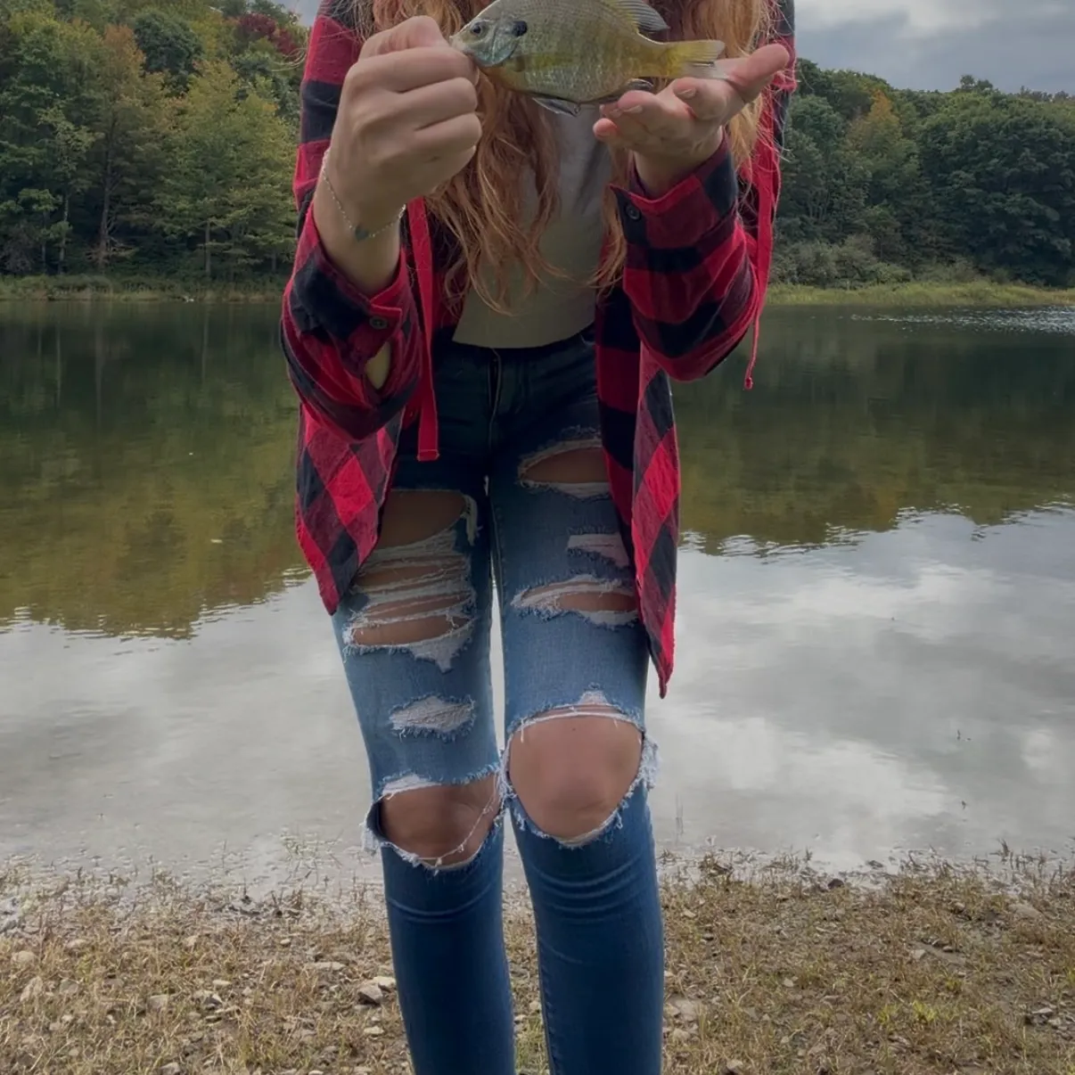 Bluegill caught on Fishbrain