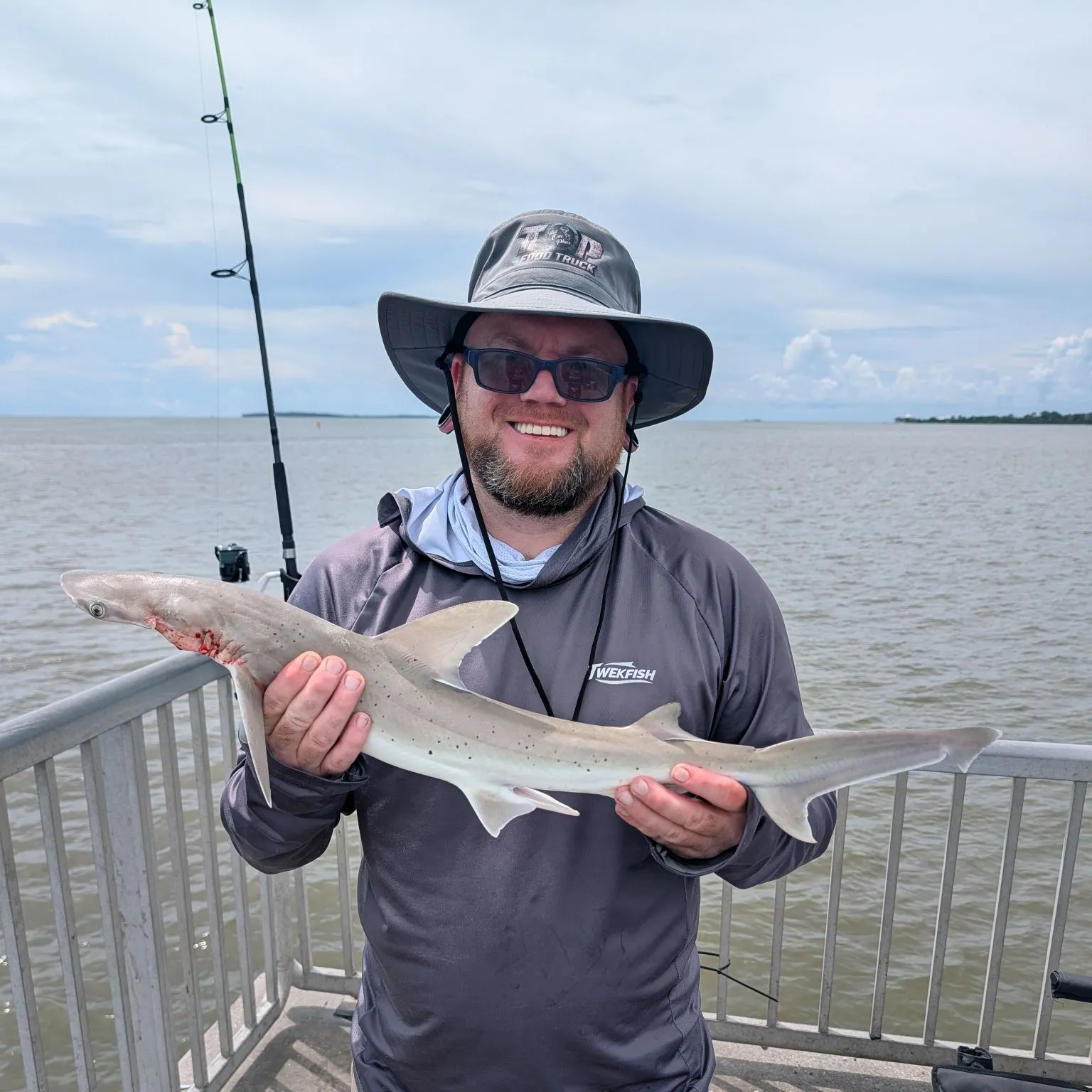 Bonnethead shark caught on Fishbrain