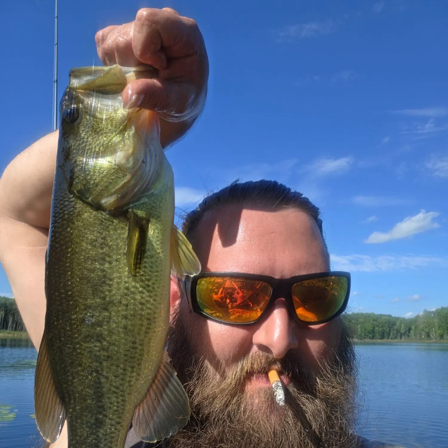 Largemouth bass caught on Fishbrain