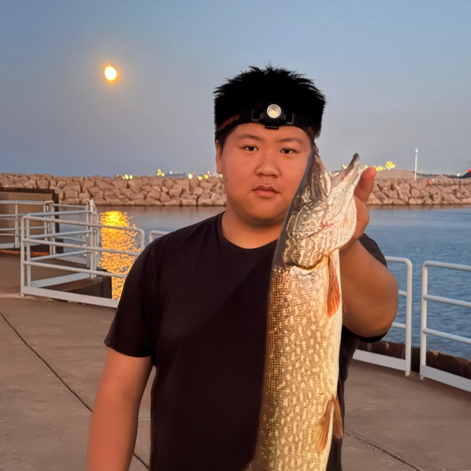Northern pike caught on Fishbrain