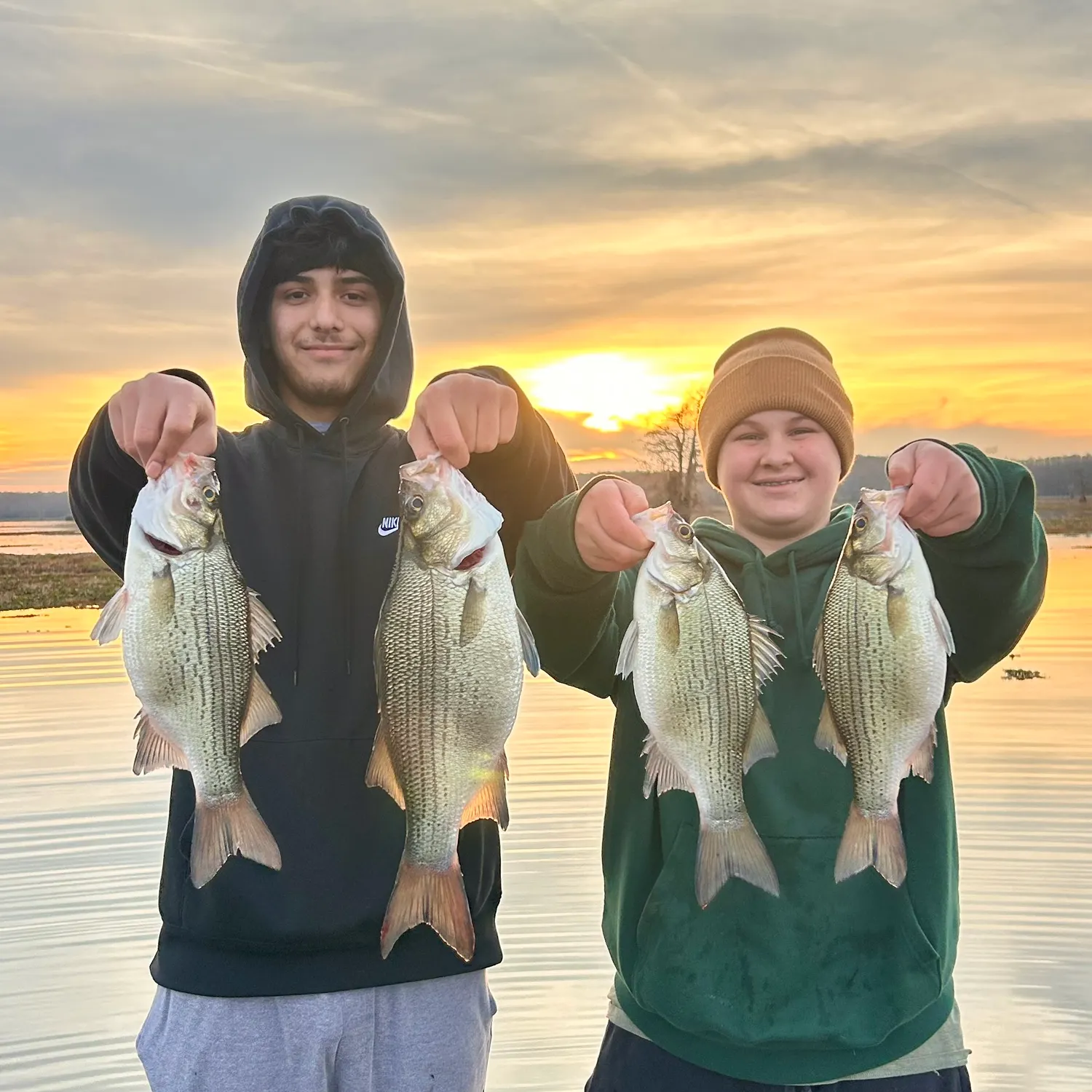 The most recent White bass catches on Fishbrain