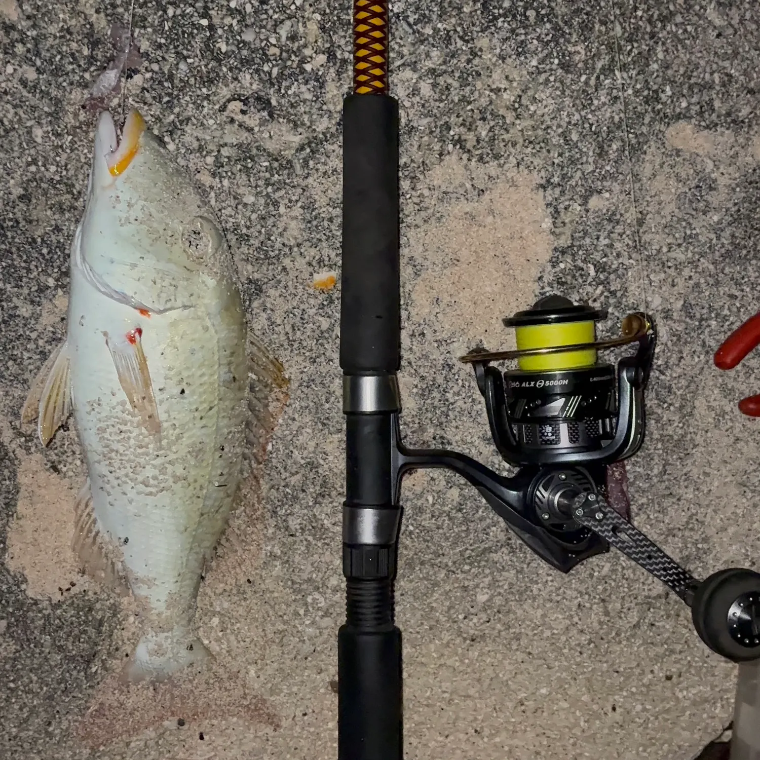 The most recent Yellowlip emperor catches on Fishbrain